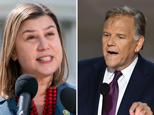 Michigan US Senate race: 4 key issues as Elissa Slotkin faces Mike Rogers