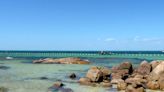 Un joven en estado crítico por un ataque de tiburón en una playa del noreste de Australia