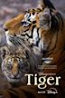 Tiger (2024 film)