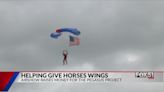 Pegasus Project helps give horses wings with airshow