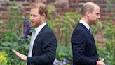 Harry's eight-word remark about William and Charles stories left out of Spare