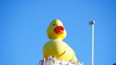 Iconic Rubber Duckie gets new home. Here's where to find it at Sesame Place