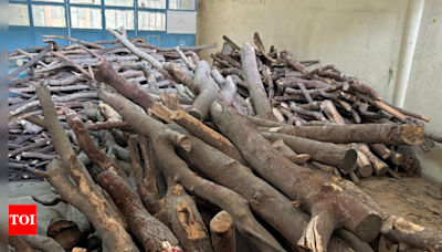 Forest officials recover 4 tonnes of sandalwood in KR Puram, the largest seizure in Bengaluru | India News - Times of India