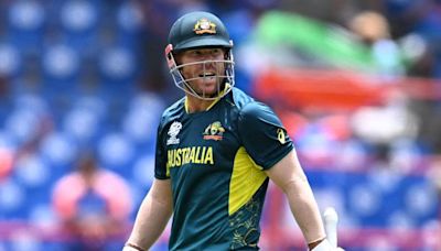 A T20 star who excelled in Test cricket, David Warner exits the international stage