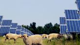 Solar energy is growing in NC but still occupies less farmland than you might think