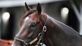 McCurdy: Book Forte as your Kentucky Derby winner