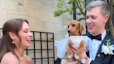 Bride enlists dog for starring role in "first look" with a difference