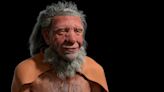 Neanderthals: how a carnivore diet may have led to their demise