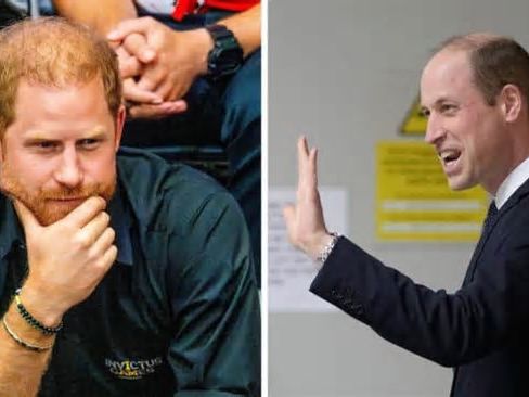 Exclusive: Prince Harry and Prince William's Feud Could End as 'Illness Can Change Everything'