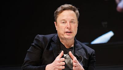 Inside Elon Musk's burn book — the non-exhaustive list of billionaires he's fought with in 2024