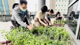 台灣中油422地球日贈樹苗 邀您一起種下永續的種子