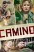 Camino (2015 film)