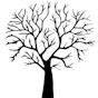 Arbre Dessin