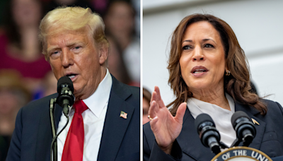 Harris vs. Trump: What polling averages show one week after Biden exit