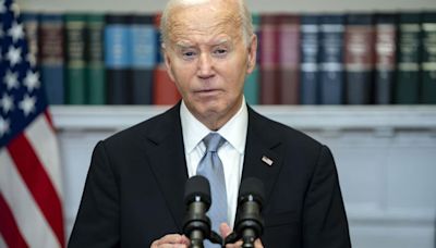 Biden admite que expresar que había que poner a Trump 'en la diana' fue 'un error'