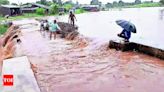 Heavy Rainfall in South Gujarat Causes Flood-Like Situation in Umarpada | Surat News - Times of India