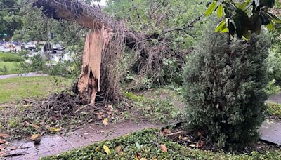 Map: Which areas of North Texas are without power after Tuesday's storms?