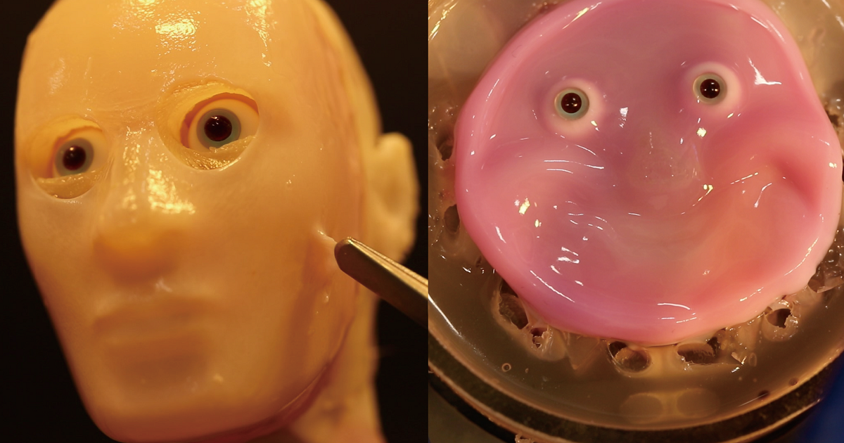 Scientists Attached Living, Lab-Grown Skin to a Robot's Face and It Looks Like It Craves the Sweet Release of Death