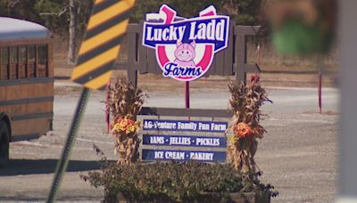 Lucky Ladd Farms closed after taking direct hit from severe weather on Wednesday