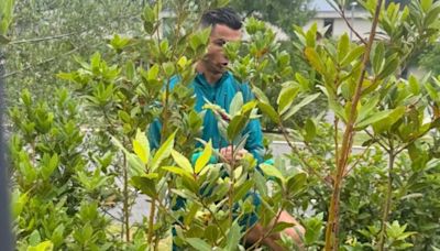 Cristiano Ronaldo climbs through bushes to take selfie with fans