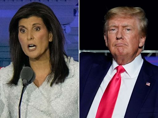 Nikki Haley Says She'll Vote for Donald Trump in November, but She Has Some Advice for His Campaign