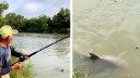 Watch: Fisherman Catches Bull Shark in a Texas River, Sends Internet Into a Panic