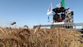 Algeria, Italian Firm Sign $455 Million Deal for Farming Project