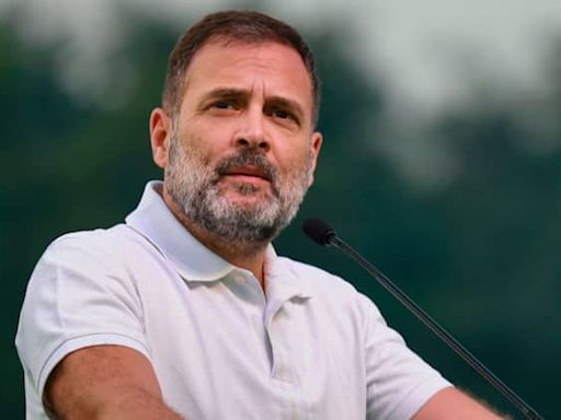 Rahul Gandhi To Take Out 'Haryana Vijay Sankalp Yatra' In 2nd Leg Of Campaigning, Priyanka To L