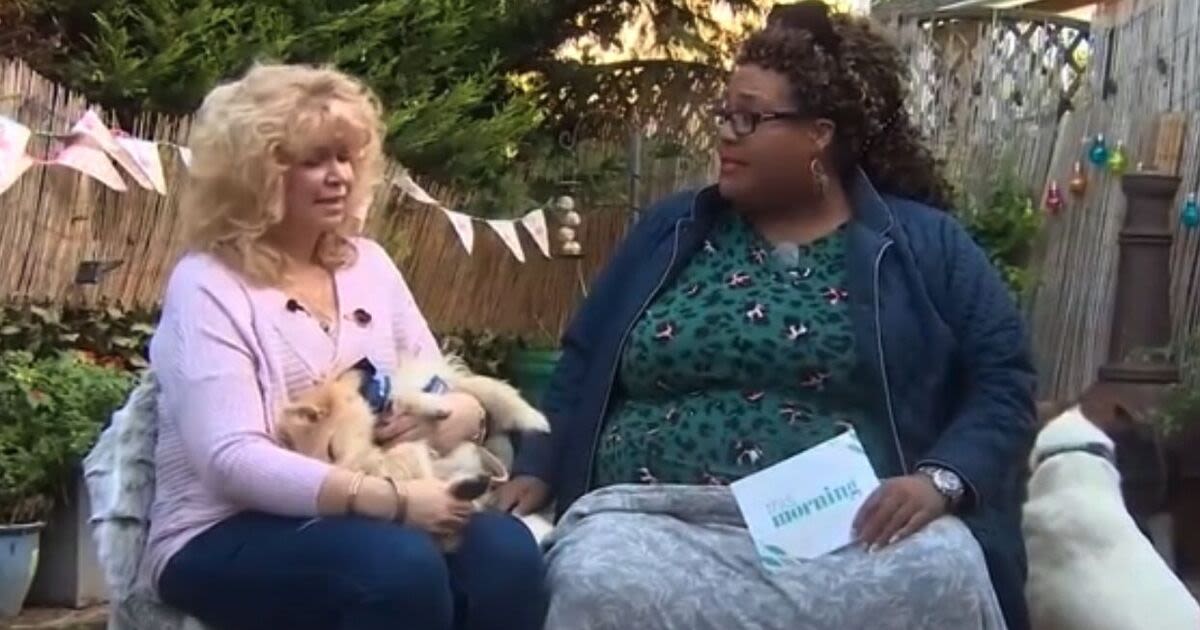 ITV hit back after dog rescuer claims Alison Hammond was scared during interview