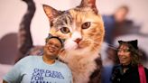 At CatCon, some pounce at JD Vance over 'childless cat ladies' remark