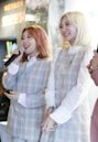 Bolbbalgan4