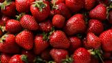 La fraise, fruit, star de l’été, réduirait votre risque de maladies cardiovasculaires par 8