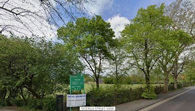 'Human or animal organs' found in container in south London park