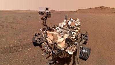 Mars Rock Hints At Ancient Life—But More Study Needed, NASA Says