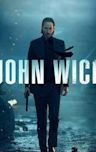 John Wick (film)