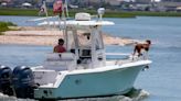 Here are 6 tips to keep your dog safe and happy when out on a boat in SC this summer