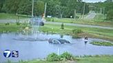 WATCH: Deputy, neighbor jump into action to save man after car crashes into pond