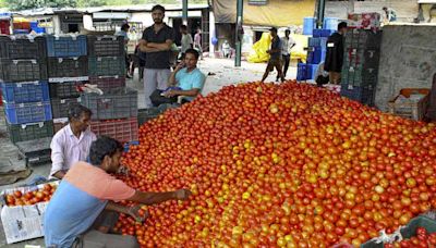 Tomato prices may ease in coming weeks on supplies from Andhra Pradesh and Karnataka