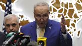 Schumer, McConnell call for swift renewal of key spy law before deadline