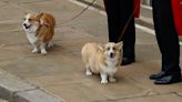 Sarah Ferguson Gives Sweet Update On Queen’s Corgis, And It's Just What Royal Fans Need To Hear