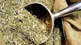 La Nación / Árabes prefieren la yerba mate paraguaya, que ya llega a 27 países