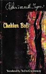 Chokher Bali (novel)