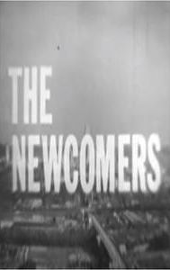 The Newcomers (TV series)