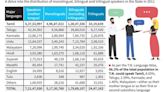 T.N. Language Atlas brings out the State’s varied linguistic typology and distribution