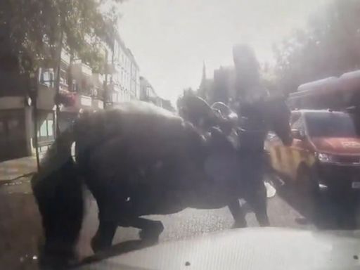 Runaway military horse crashes into car as animals loose again in London