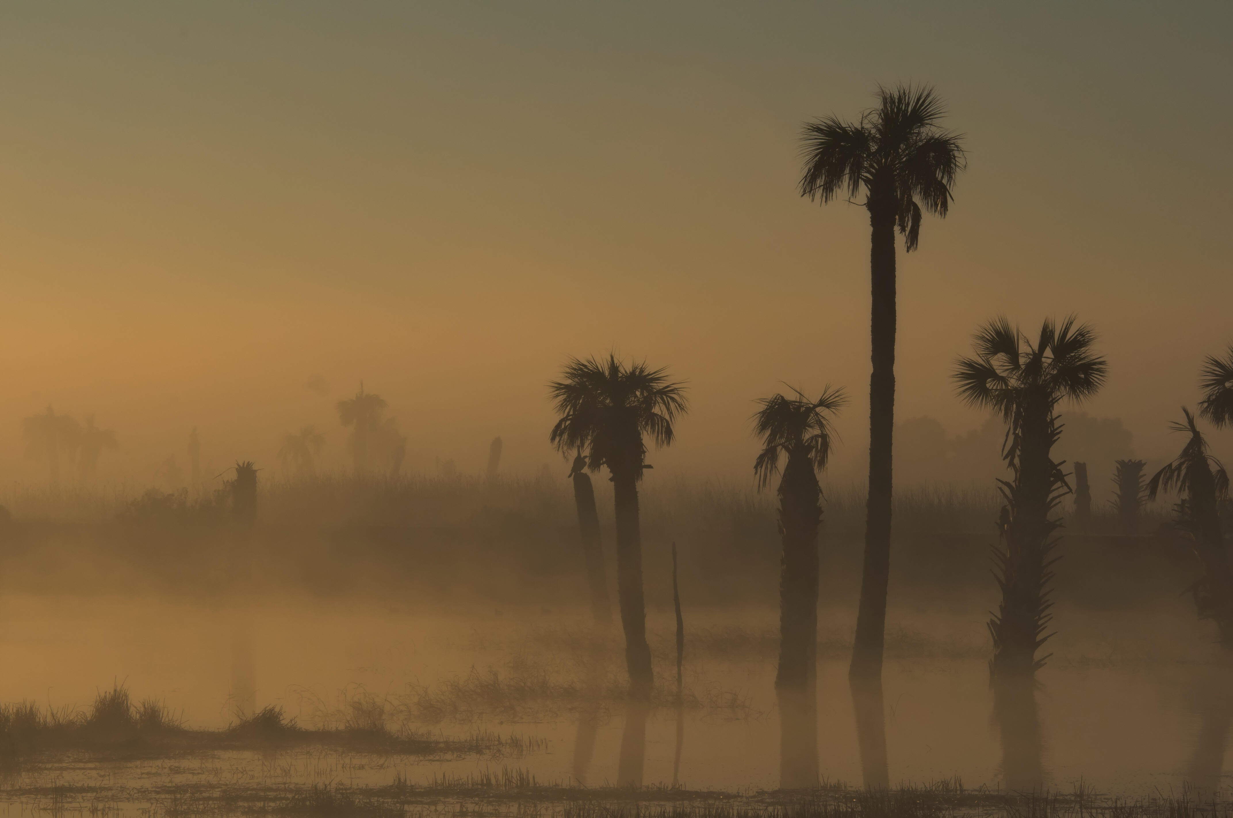 Plume Of Dust From The Sahara Desert To Bring 'Dirty Rain' To Florida | iHeart