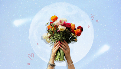 Zodiac Signs as Flowers—Which Blossom Are You?