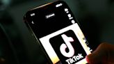 一文了解哪些國家禁止或限制使用TikTok