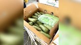 1,400 packages of meth weighing almost 6 tons and worth over $18 million found in squash shipment