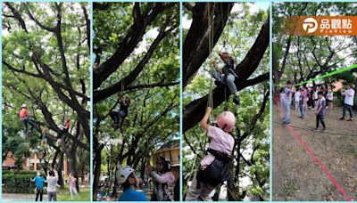 雨豆樹林間攀樹及走繩 高雄新客家文化園區與樹木親密接觸